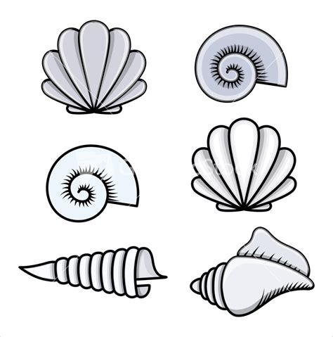 Cartoon Shells - ClipArt Best