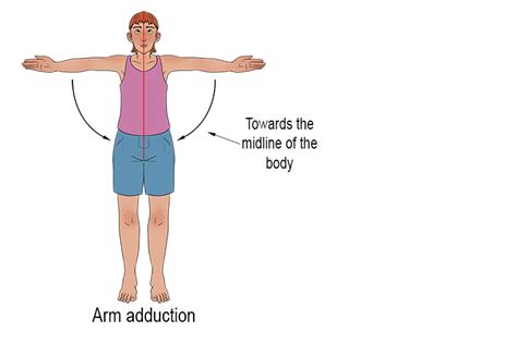 Adduction - Mammoth Memory definition - remember meaning