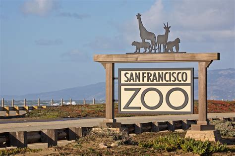 San Francisco Zoo - The Herbst Foundation