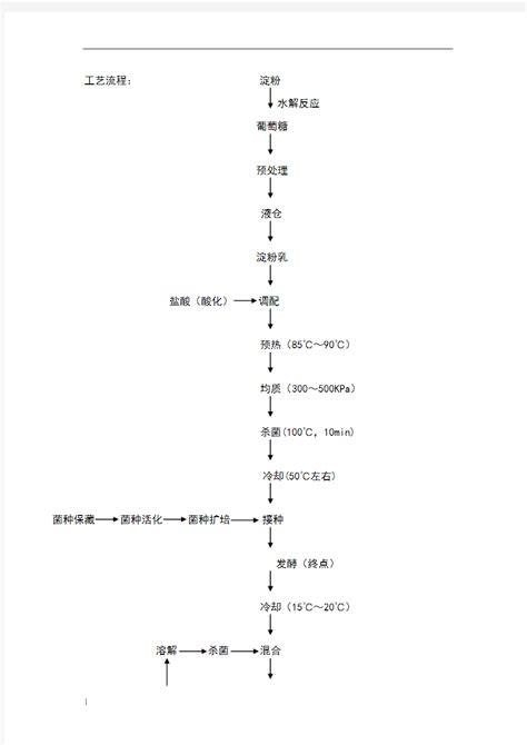 乳酸发酵工艺流程 - 文档之家