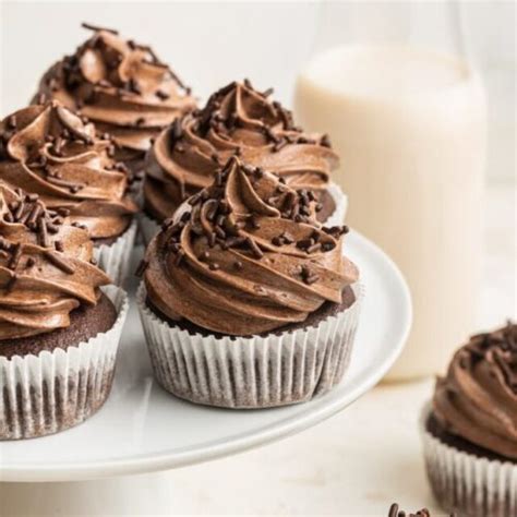 Healthy Chocolate Cupcakes - Eating Bird Food