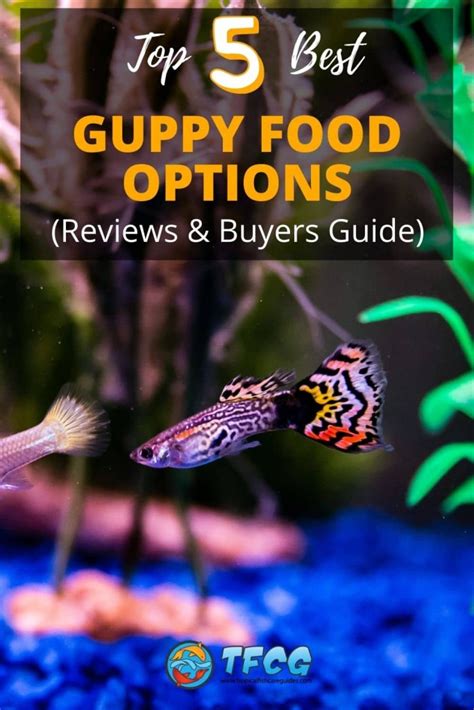 Top 5 Best Guppy Food Options [Reviews & Buyers Guide]