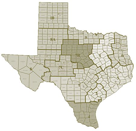 Texas Land Survey Data