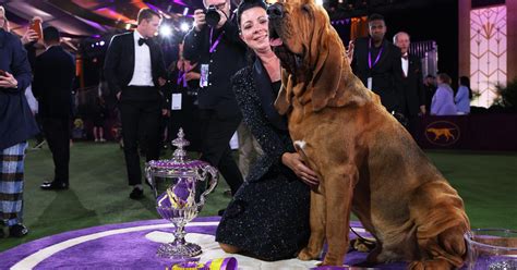 Westminster Dog Show 2023 live breed results, winners for every group ...