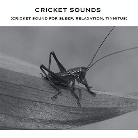 Play Cricket Sounds (Cricket Sound for Sleep, Relaxation, Tinnitus) by Baby Sleep Spot, Cricket ...