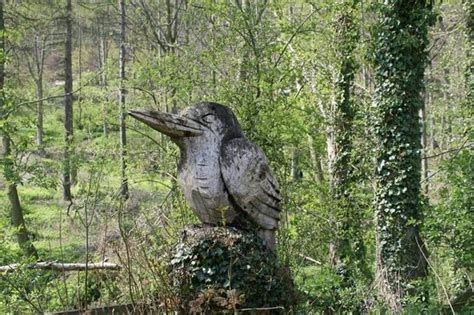 Highcliff Nab above Guisborough woods - Picture of Guisborough Forest, Guisborough - TripAdvisor