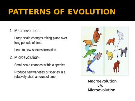 Evolution