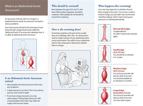 Abdominal Aortic Aneurysm Screening Model Validation And Recalibration | My XXX Hot Girl