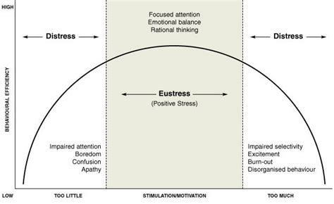 Pin by Kelly Clancy on Instructions | Types of stress, Stress, Stress response