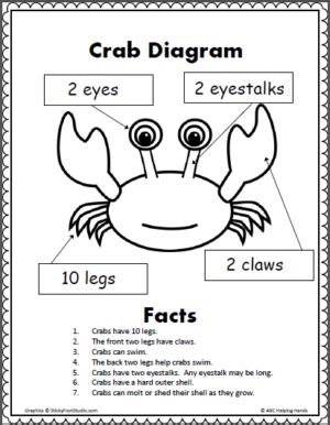 Crab Facts Poster - Made By Teachers