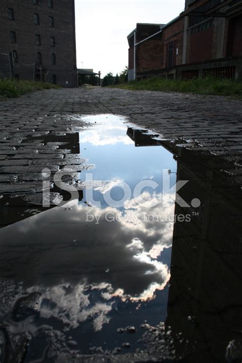 Puddle Reflection Stock Photo | Royalty-Free | FreeImages