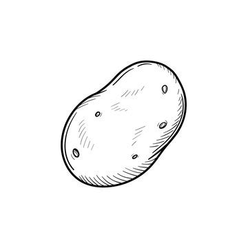 Potato Black And White Clipart