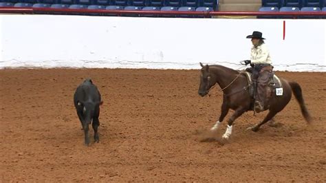 Fort Worth Stock Show and Rodeo Opens Friday – NBC 5 Dallas-Fort Worth