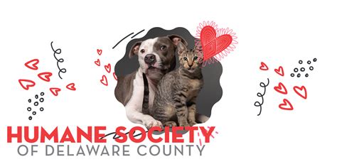 Humane Society of Delaware County