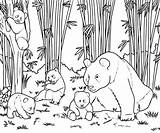 15 Cute Panda Coloring Pages For Your Little Ones sketch template