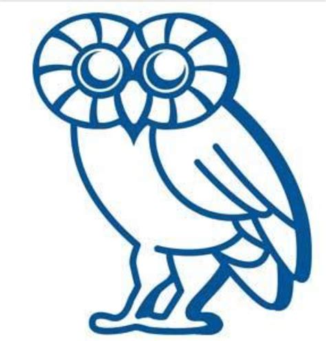 Rice Owl