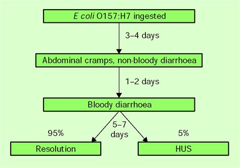 Escherichia coli O157:H7 - The Lancet