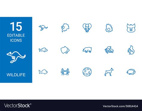 Wildlife icons Royalty Free Vector Image - VectorStock