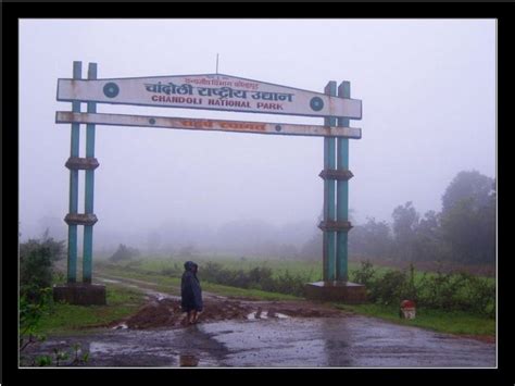 chandoli-national-park-main-gate - Chandoli Resort