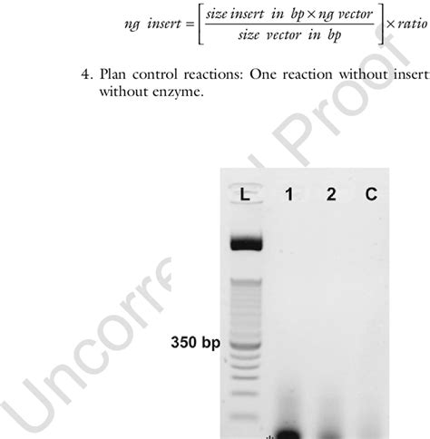 Hybridization efficiency of oligonucleotides was analyzed by 2 % SB... | Download Scientific Diagram