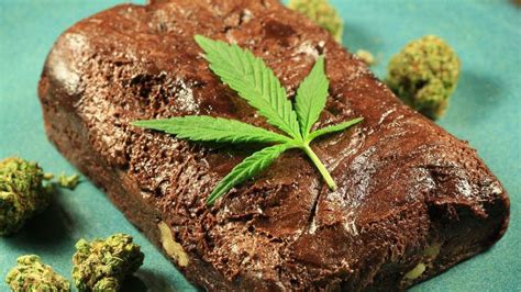 Edibles: A Beginner's Guide Blogs