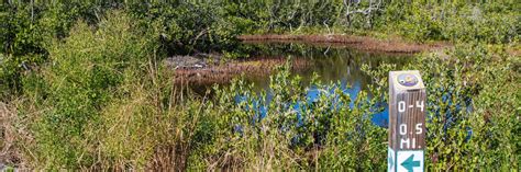 Robinson Preserve , Florida Hikes