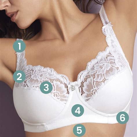 Fitting bra – Telegraph