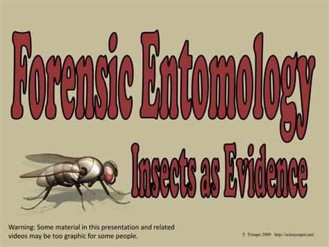 Forensic Entomology