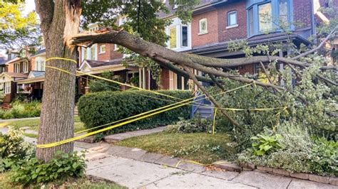 Storm slams into southern Ontario, bringing heavy rain and wind to GTA ...