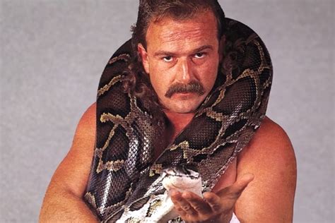 Is The Jake The Snake Documentary on Netflix?