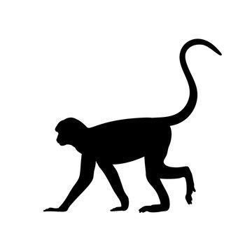 Monkey Icons Bilder – Durchsuchen 102,744 Archivfotos, Vektorgrafiken ...