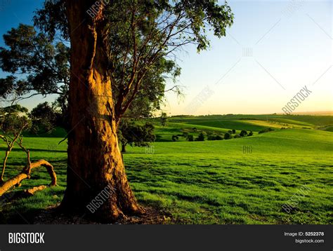 Australian Rural Image & Photo (Free Trial) | Bigstock