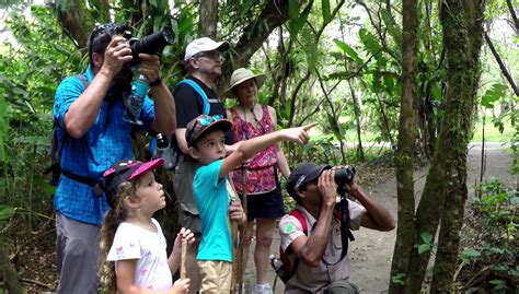 Arenal Volcano Park Tour & Hot Springs from Jaco Beach | Day Tour