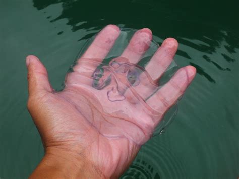 Jellyfish lagoon in Sohoton Cove, Siargao | Yidian Cheow | Flickr