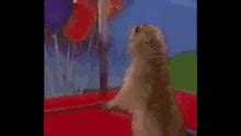 Dramatic Chipmunk Gif GIFs | Tenor