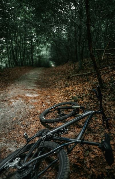 Premium Photo | Mountain bike in the woods bicycle with forest ...