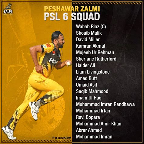 Peshawar Zalmi: PSL History, Performance, Current Squad and Captain ...