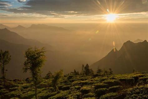 Trekking Kolukkumalai Peak | Kerela | ETG