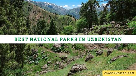 10 Best National Parks in Uzbekistan for Wildlife Lovers - Classy Nomad