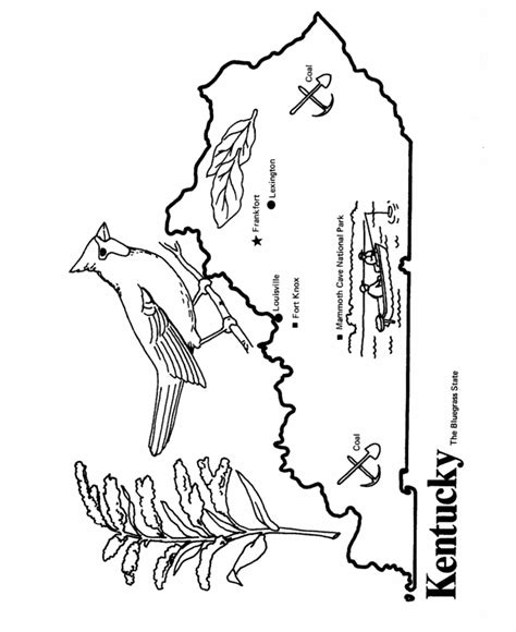 USA-Printables: State outline shape and demographic map - State of ...