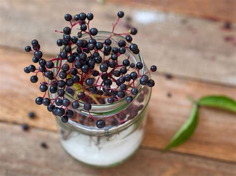 Elderberry Recipes: From Teas and Cocktails to a Delicious Crisp | Best Health