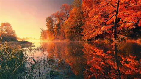 2560x1440 Trees Fall Reflection Autumn 4k 1440P Resolution ,HD 4k ...