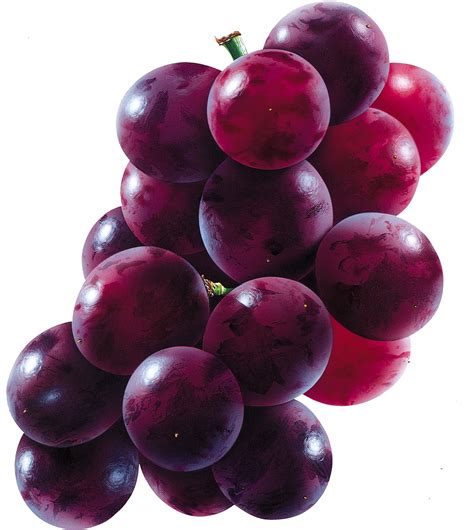 Grapes PNG Image | Fruit, Red grapes, Grapes