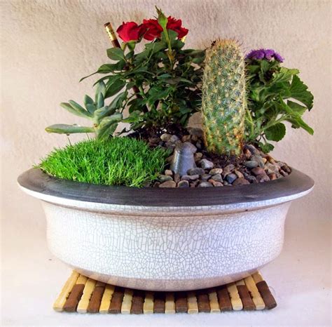 Handmade Ceramic Bonsai Pots by Matthew Kennedy
