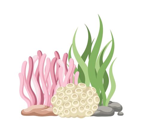 Coral reefs with algae, seaweed and rocks vector cartoon illustration 19816102 Vector Art at ...