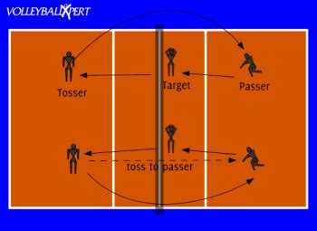 Perfect Passes - VolleyballXpert