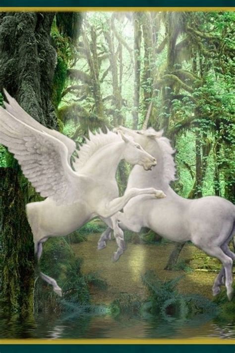 Unicorn and Pegasus | Unicorn and fairies, Fantasy horses, Unicorns and mermaids