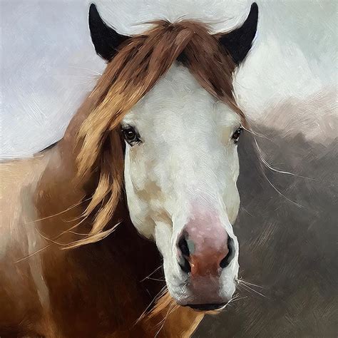 A Friesian horse Digital Art by 951 Prints - Fine Art America