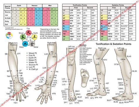 The Five Element points of Acupuncture Chart