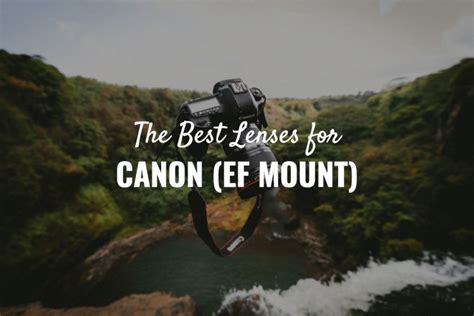 Best Canon EF Lenses, According to Pros